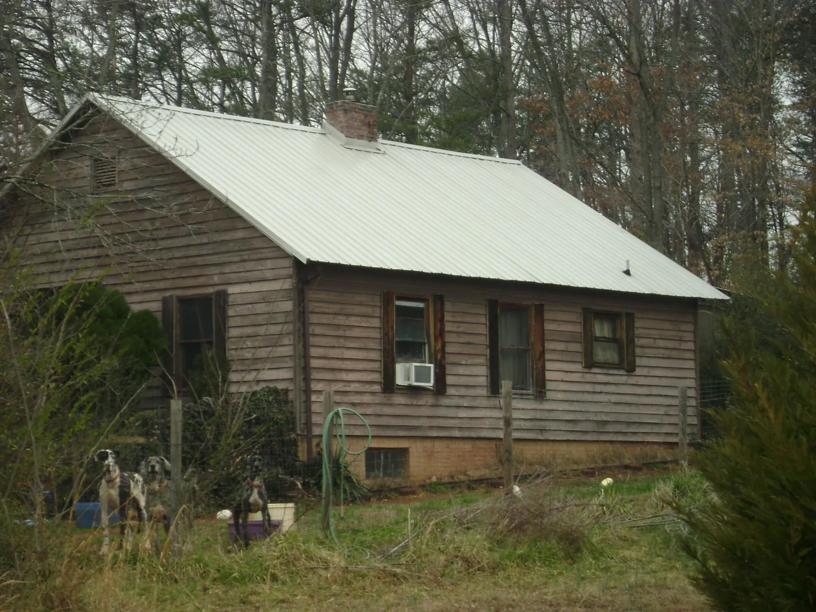 White metal roof on an old wood sided farmhouse, from a Asphalt Shingle Roof Repair job in Elk Mound